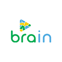 brain